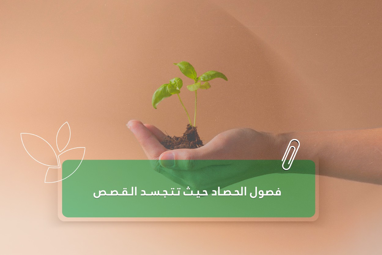 لقطة الشاشة 2026-07-14 094153